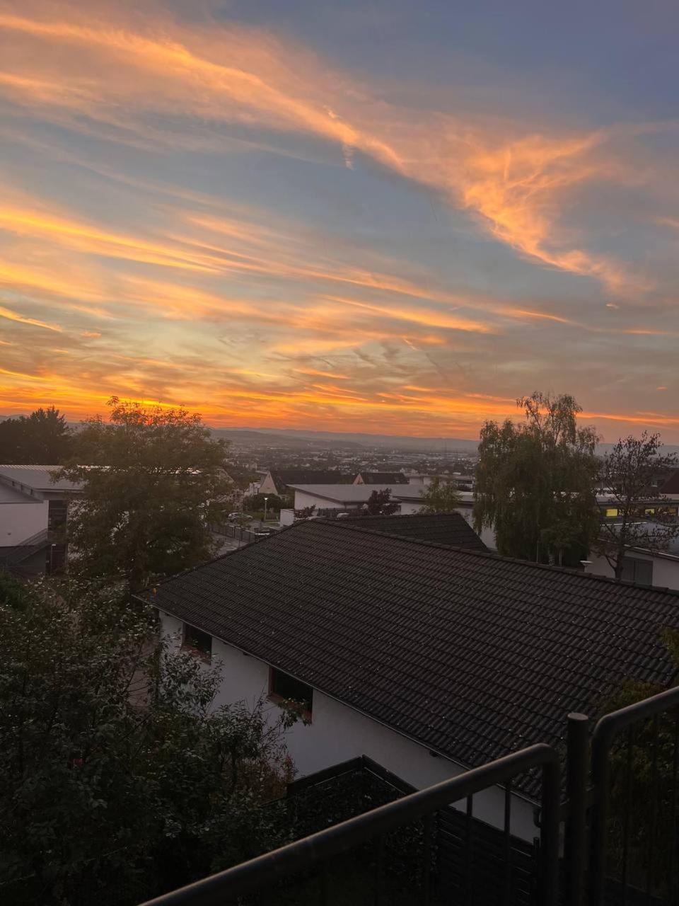 Rheinview Sunset In Urbar Apartment Urbar  Exterior photo